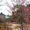 カンザコ山からおっぱい山、施福寺へ