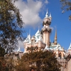 【海外Disney】カリフォルニアディズニーランドついに再開＆エプコットにレミーのアトラクションが登場！