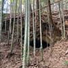 米満横穴墓群Ⅳ-1支群 (再訪)  長南町米満