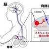 痛風やがんの痛み原因を特定。