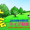 6月6日の動画