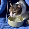 お水