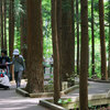 35a 円山公園