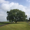 山を豊かに🌳 地球を豊かに🌏 間伐のお手伝いをしている木こりさんとの出逢い❤