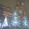 札幌ホワイトイルミネーションがやっとホワイトになりました( ・∇・)