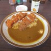 ココイチでささみカツカレー - 2021年1月11日