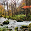 奥入瀬渓流（十和田湖）🍂🍁～からのカツラーメン🍜（小坂）