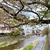 4月の出来事と色んな意味での救済ブログ