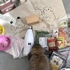 うさぎ星　福袋が届きました！