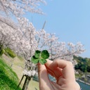 声優研究部ログ