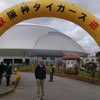 2月の沖縄:阪神キャンプ 