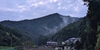 雨をついて草刈り３時間