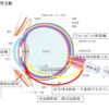 巨細胞性動脈炎の眼合併症