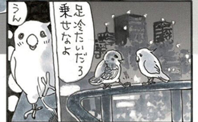 夜廻り猫【第一〇六一話】恋する小鳥⑬(終)