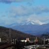 高崎城址公園周辺散歩　小彼岸桜・浅間山・ハクモクレン・オカメザクラ