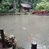 6-78   今月の小國神社も雨でした。