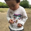 1歳    5月6日    どんぐり