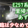 【2024冬臨】E257系 中央線 里帰り あずさ 運用一覧！かなり少なめの設定