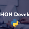 What Python Developers Can Offer You?