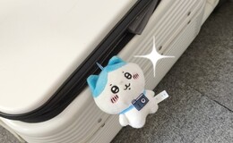 記事を見る