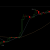 久しぶりにBTC FXをした