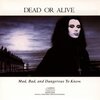 「Mad, Bad, and Dangerous to Know」Dead Or Alive（1987）