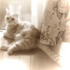 つれづれに
