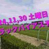 2024,11,30 土曜日 トラックバイアス予想 (中山競馬場　京都競馬場　中京競馬場)