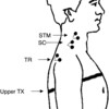 声の大きさとピッチの変動を伴う歌唱と発話の課題における首と肩の筋活動と胸郭の動き