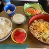 サーモンと冷やしたぬきうどん