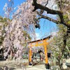 【京都】山科、『花山稲荷神社』に行ってきました。