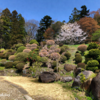 自宅薪棚は五年分の薪30立米