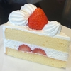 【つぶれない店】ショートケーキ専門店「ショートケーキカンパニー」新宿の知れば明日行きたくなる店【5月3日】