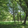 小金井公園（東京都小金井市）