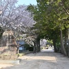 山行記　右田ヶ岳　天徳寺ルート→塚原ルート