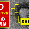 新型コロナ オミクロン株“XBB.1.5”わかってきたこと【1/23】