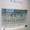 山崎龍一展“Little voice”＠六本木ヒルズＡ/Ｄギャラリー　2012年10月8日（月）