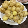 じゃがいも🥔収穫　家庭菜園