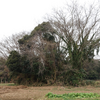 大井戸平3号墳・4号墳　茨城県小美玉市下玉里