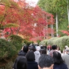 貴重な体験！「高野山開創1200年秋の特別公開その２」