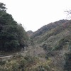 銀杏はなく・・冬の公園：自転車散歩：ポタリング