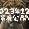 【資産公開】2023年12月の資産状況（前月比+58万）