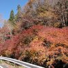 2011/11/26　 (96km) 　香嵐渓・野原川の紅葉＆どて飯