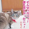 のんびりテンちゃんのささやかな抵抗