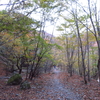 #92 関西紀行 紀伊半島最高峰の大峰山へ