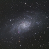 M33