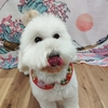 ★まろくん★