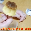 プッチンプリンを冷凍して「プッチンプリンアイスキャンディー」作って食べてます