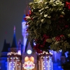 東京ディズニーランド「雨の夕景編④夜景編」