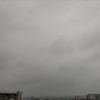 雨だし寒いし